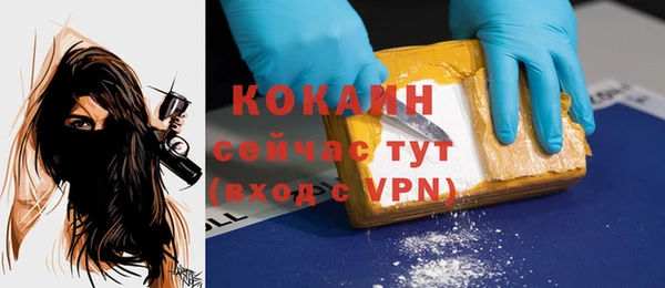 герыч Дмитриев